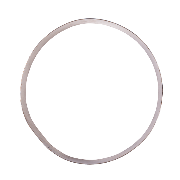 Stainless Steel Round Ring 6 Inch