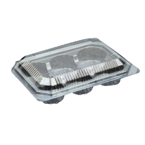 Plastic Cup Cake Box 6 Cavity Big.