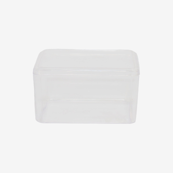 Plastic Cookies Box Square TT-015