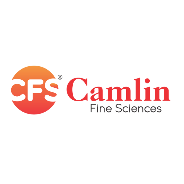 Camlin