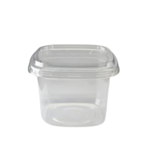 Plastic Box With Border B10-8