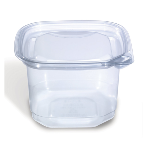 Plastic Box With Border B10-8